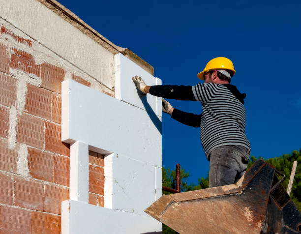 Best Residential Insulation in Tangelo Park, FL