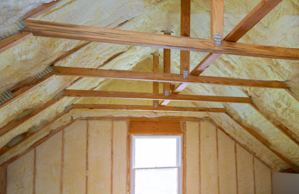 Best Insulation for Specific Applications in Tangelo Park, FL